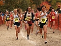 2010CIF XC GD1-1091